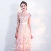 The Vachel Pink / Champagne / Navy Blue Sequined Lace Gown
