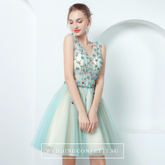 The TinkerBell Turquoise Sleeveless Dress