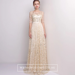 The Vachel Pink / Champagne / Navy Blue Sequined Lace Gown