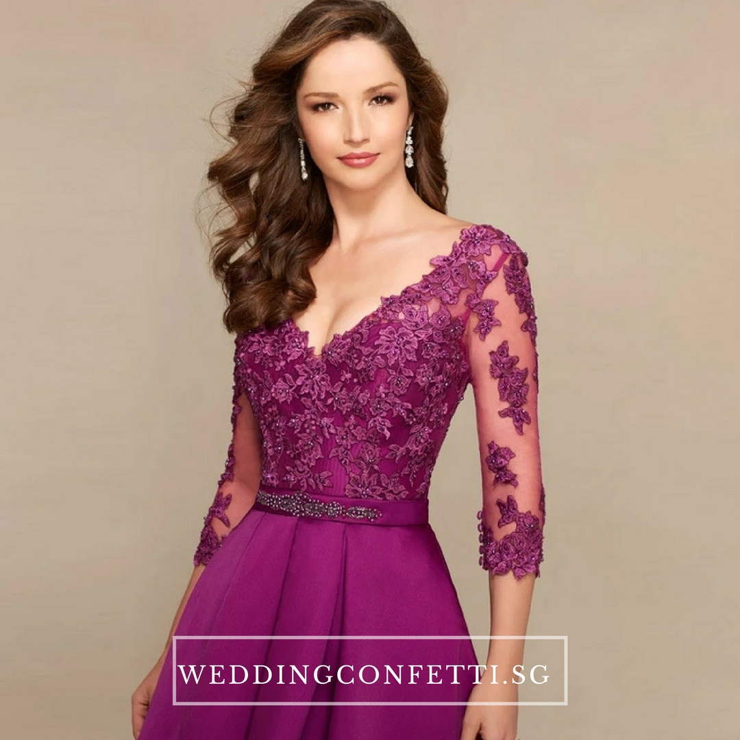 The Dandelion Long Lace Sleeves Gown (Customisable)