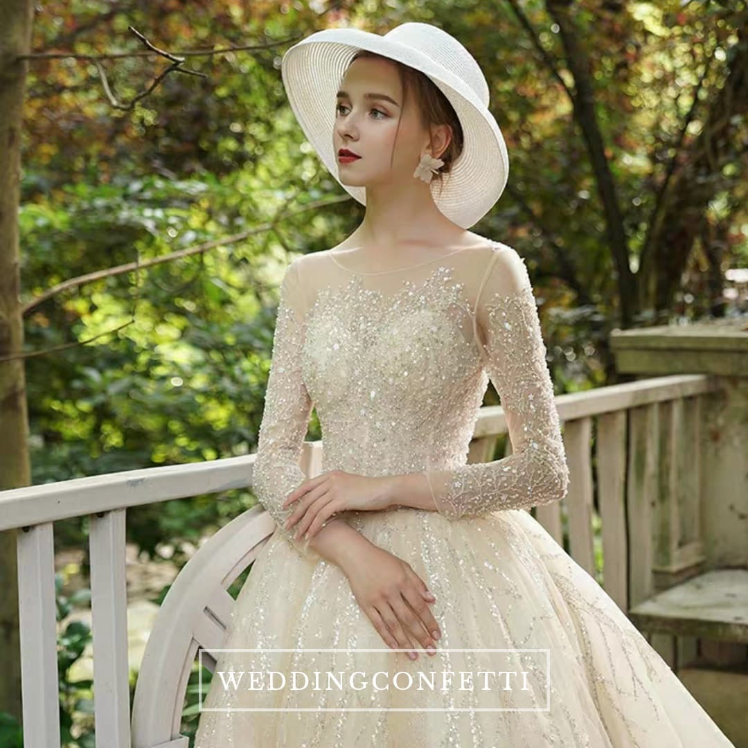 The Chandler Wedding Bridal Long Illusion Sleeves Gown