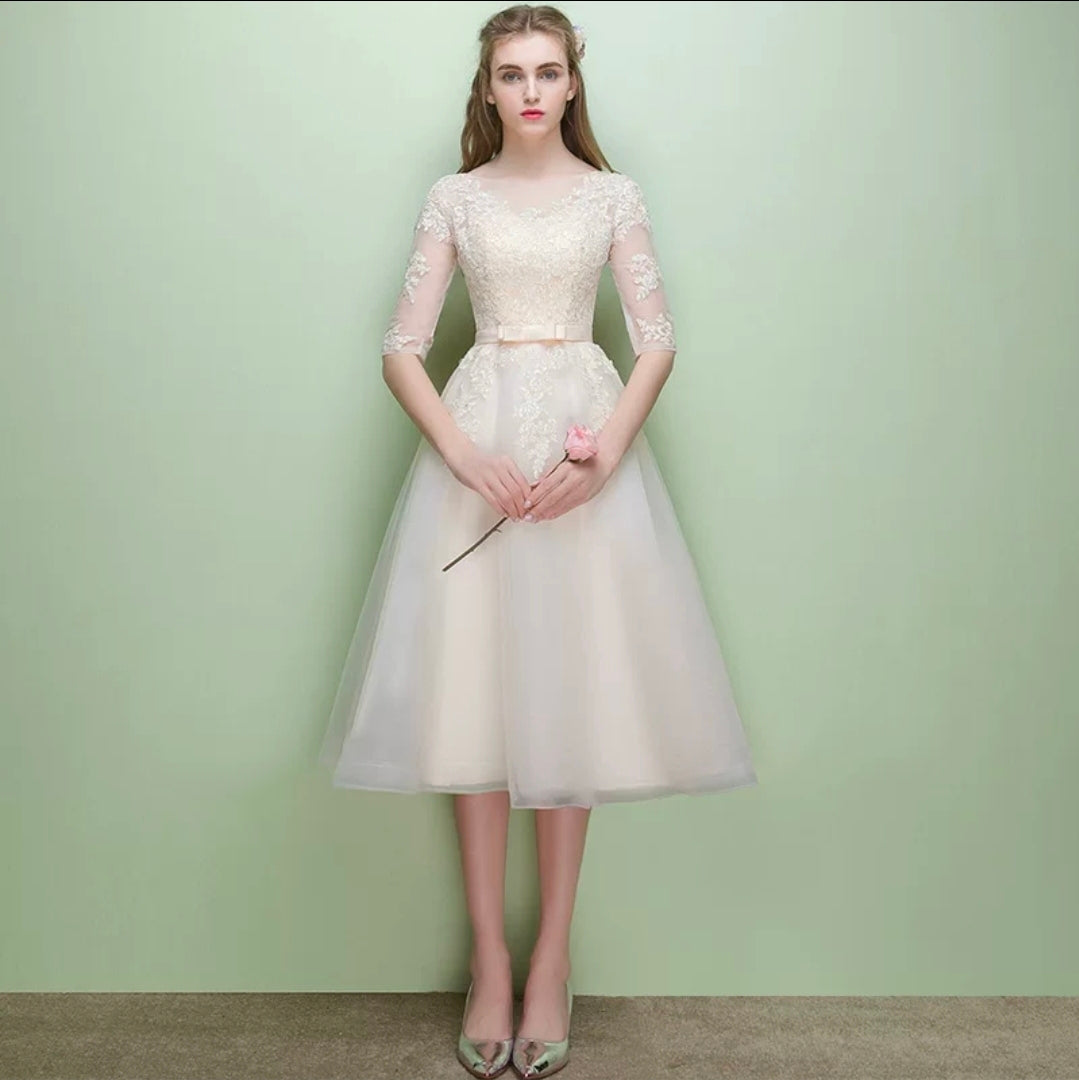 The Leanne Champagne Long Sleeves Lace Tulle Dress